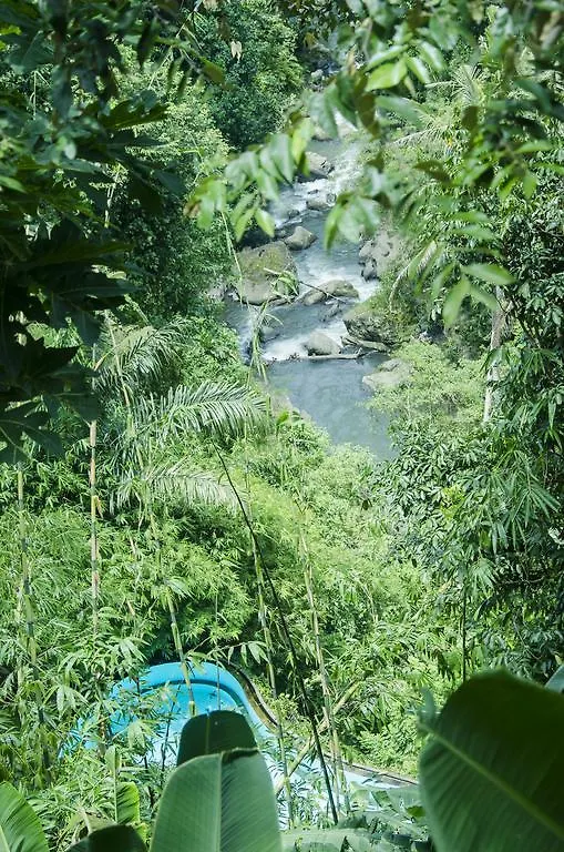 Отель D'Tepi Ubud House 5*, Убуд Индонезия