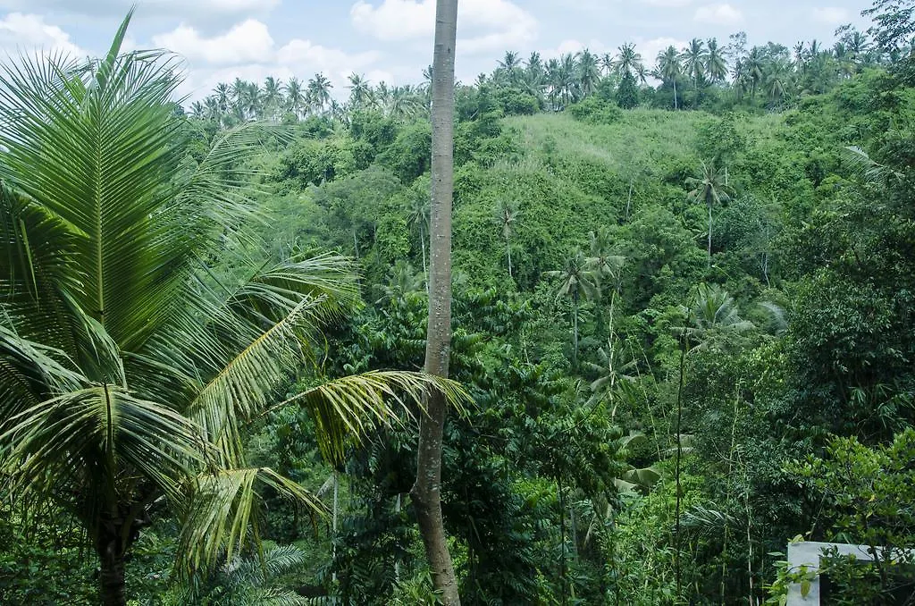 Гостевой дом Отель D'Tepi Ubud House