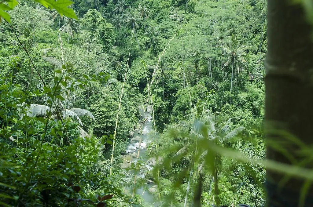 Отель D'Tepi Ubud House Индонезия